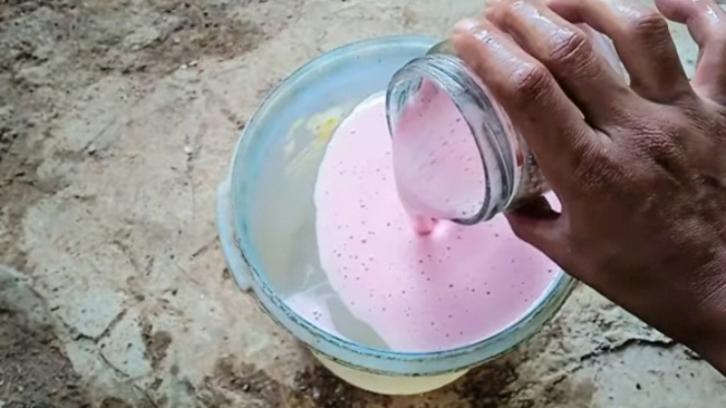 Racikan agar tanaman cepat berbuah